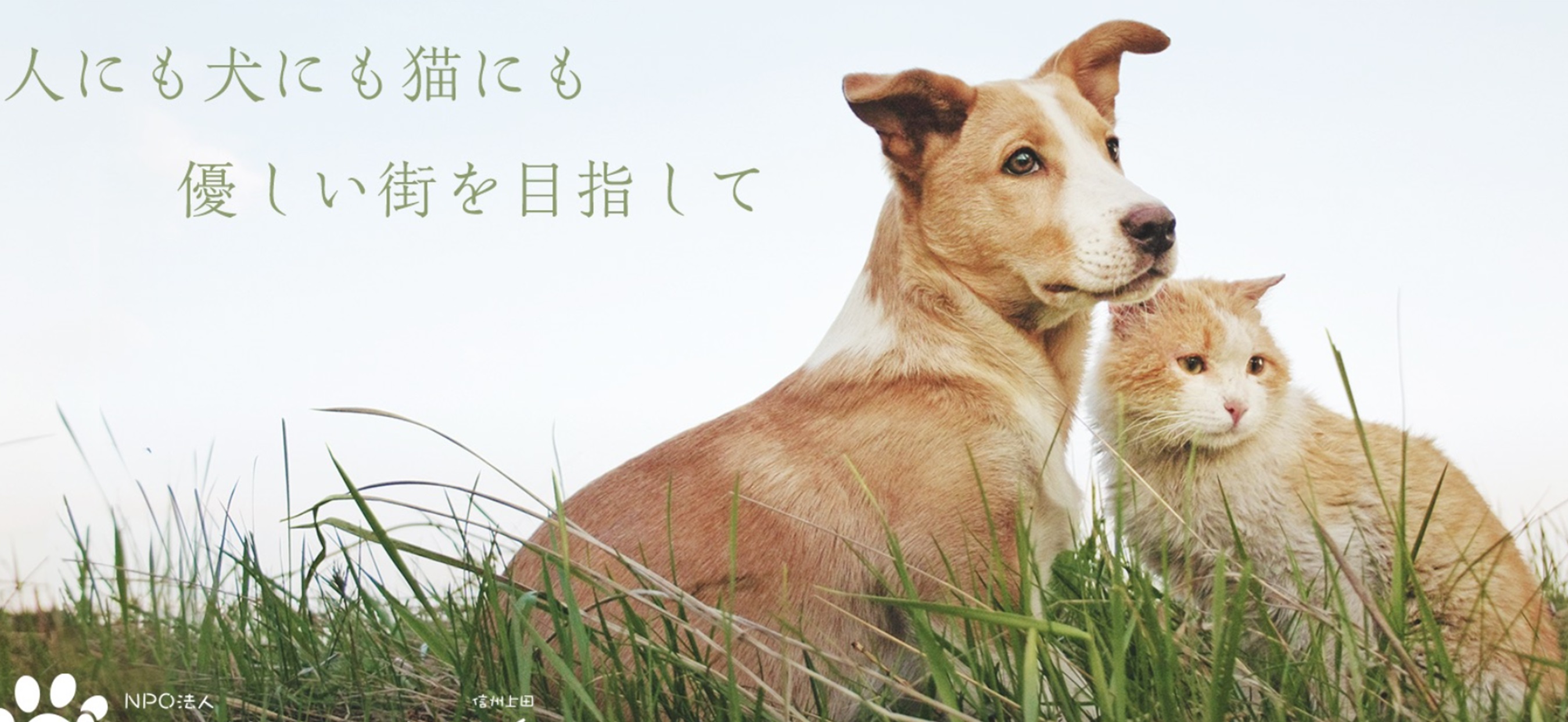 １匹でも犬・ネコを救う会